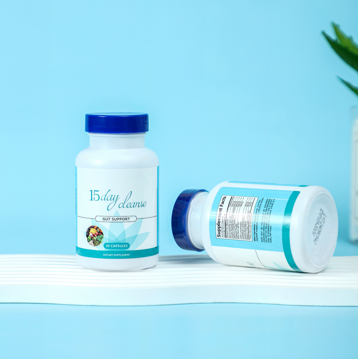 15 Day Gut Cleanse - Detox Your Gut